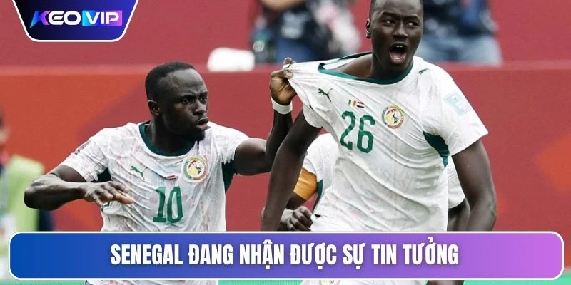 Senegal đang nhận được sự tin tưởng